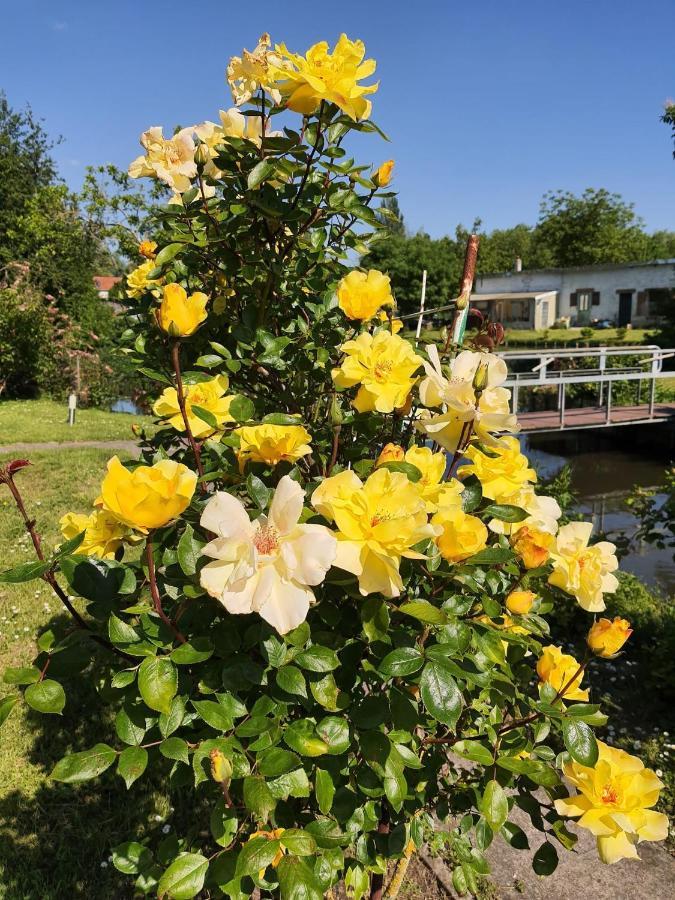 Le Cottage Des Hortillonnages Amiens Eksteriør bilde